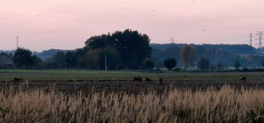 landscape  © Евгений 
