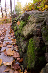 the path in the park is covered with autumn leaves, which has a fence made of natural stone covered with green moss