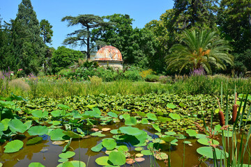 View of Jardin des Plantes in Montpellier, the oldest botanical garden in France.