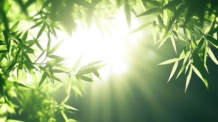 A serene view of sunlit bamboo leaves, creating a peaceful atmosphere with vibrant green hues.