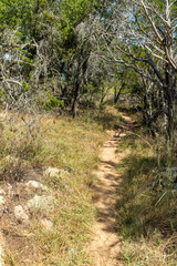 Trail around rocks and vegetation at Inks lake