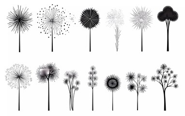 Obraz premium Set of fireworks isolated on white background. Simple black line fireworks. Fireworks, stars, bursts, vector illustration set. different styles, sizes
