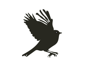 Beautiful Birds Silhouette Designs on White Background. A black silhouette big bird fly on a white background.