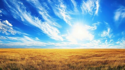 A breathtaking open field under a bright sun, showcasing golden grass swaying gently in the wind.