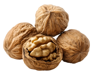 Walnut png heap of walnuts png walnut nuts png walnut transparent background image