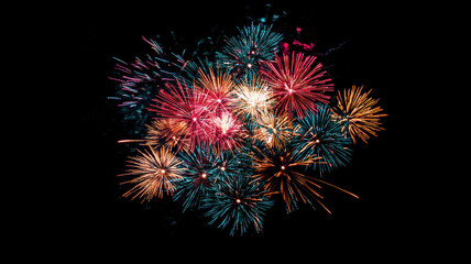 Colorful fireworks lighting up the night sky