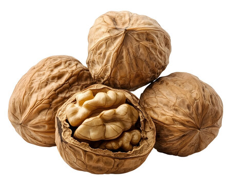 Walnut png heap of walnuts png walnut nuts png walnut transparent background image