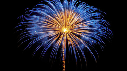 Fototapeta premium Night sky filled with colorful fireworks