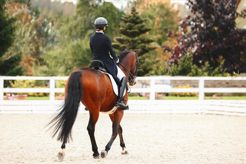 Influence with body, legs and hands of the rider on the horse.