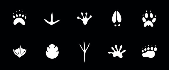 Paw print silhouette. Isolated paw print on white background