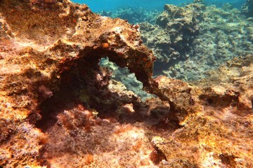 Shallow clear sea, colorful rocky seascape in the blue water. Seabed with stones and algaes, underwater photography from scuba diving. Vivid undersea landscape, adventure scuba diving.
