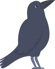 Raven bird standing and looking up, showing curiosity in a simple and minimalist design