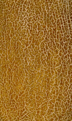 melon peel texture as background, texture