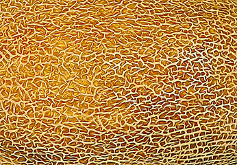 melon peel texture as background, texture