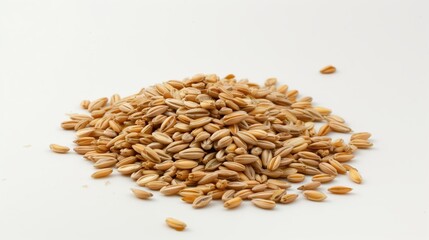 Obraz premium Close-Up of Barley Seeds on a White Background Highlighting Natural Ingredients and Organic Products