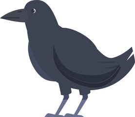 Raven standing on its feet, embodying mystery and intelligence, perfect for projects related to wildlife, mythology, and halloween
