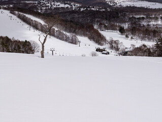 Groomed pistes at the ski resort of Sugadaira Kiogen in the mountains of Nagano, Japan