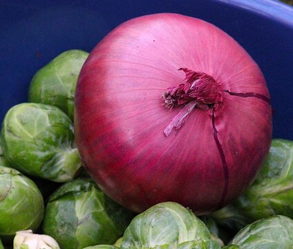 Summertime bounty of red onion and green leafy brusell sprounts