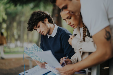 A diverse group of students engaged in studying outdoors on a bench in a park. They are collaboratively working through notes and documents, enjoying the natural environment.