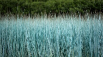 Lush green grass swaying in the breeze