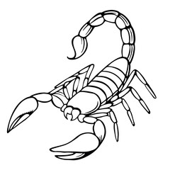 Scorpion linear illustration sketch for tattoo outline hand drawn graphic