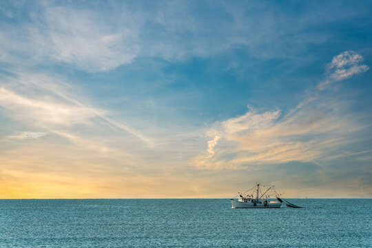 えび天」の写真素材 | 10,556件の無料イラスト画像 | Adobe Stock