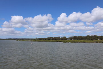tree tops emerge from the sea as high tide submerges the land below under puffy white clouds