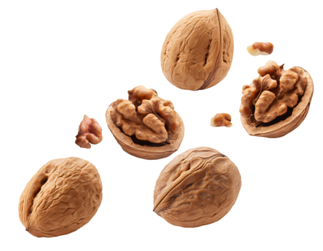 Falling walnuts isolated on white background, cutout 