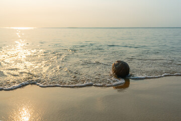 Sunset lighting, a coconut on the sand, and gentle waves create a tropical seaside relaxation vibe