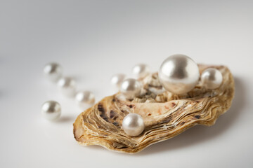 Beautiful white pearls on an oyster shell.