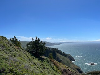 Coastal cliff with greenery
