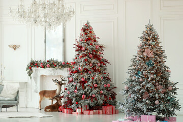 Christmas white royal living room interior