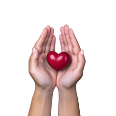 Obraz premium Hands holding red heart shaped object