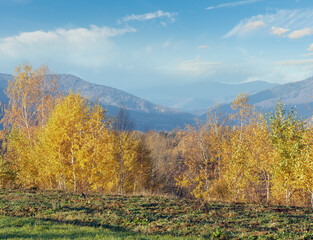 Naklejka premium Morning Carpathian mountain autumn landscape.