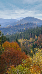 Morning foggy clouds in autumn mountain countryside.  Ukraine, Carpathian Mountains, Transcarpathia.