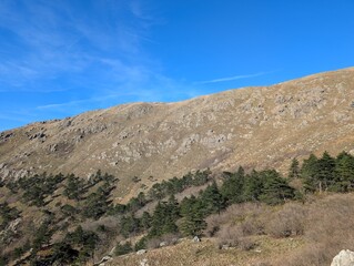 landscape with blue sky