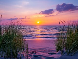 A beautiful sunset over the ocean, with tall grass framing the scene.