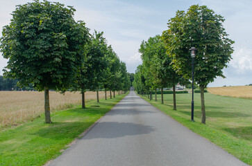 Countryside avenue