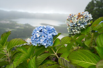 huge volcanic craters sete cidades © Fizzl