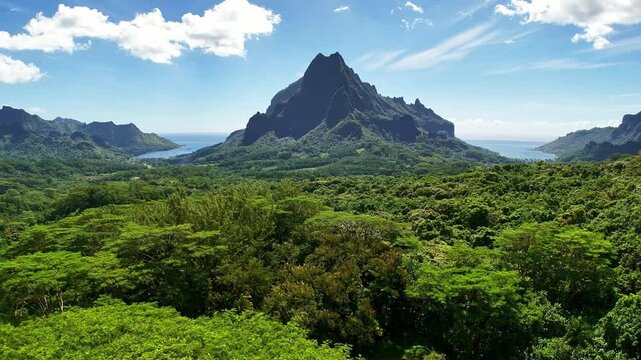 Drone aerial view of Moorea. Tahiti French Polynesia. Tropical paradise, Tahiti adventure vacation. Green jungle mountain forest of Mount Rotui.