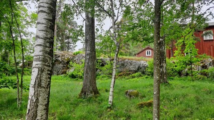 Fototapety na wymiar - Fototapeta24.pl
