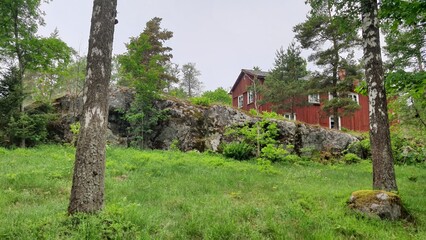 Fototapety na wymiar - Fototapeta24.pl