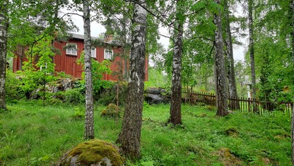 Fototapety na wymiar - Fototapeta24.pl