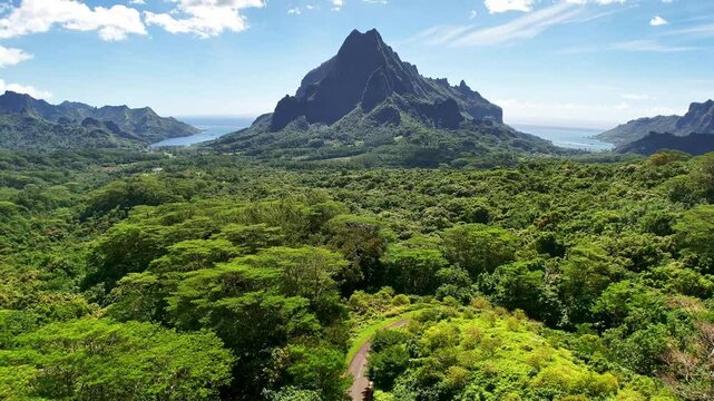 Drone aerial view of Moorea. Tahiti French Polynesia. Tropical paradise, Tahiti adventure vacation. Green jungle mountain forest of Mount Rotui.