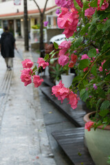 沖縄県那覇市のやちむん通りの景観