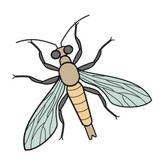 fir sawfly forest pest insect