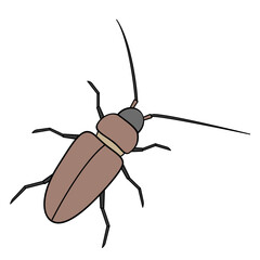 longhorn beetle forest pest insect