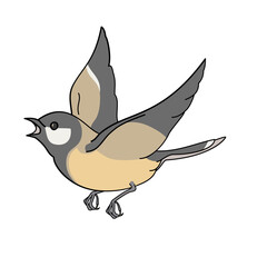 flying tit on a white background