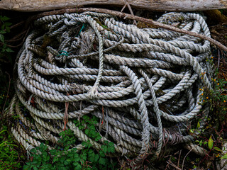 rope on forest
