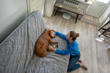 Loving woman cradles Magyar Vizsla dog, comforting lethargic depressed dog lying in quiet sadness...